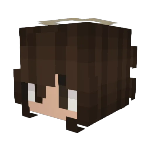 neari Minecraft avatar head, 3D render