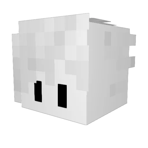 nearneverstops Minecraft avatar head, 3D render