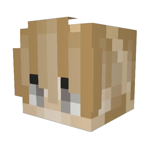 nebchemakf Minecraft avatar head, 3D render