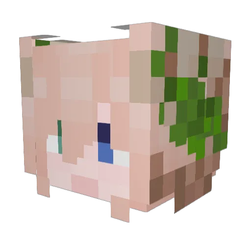 nebul0chaotic Minecraft avatar head, 3D render