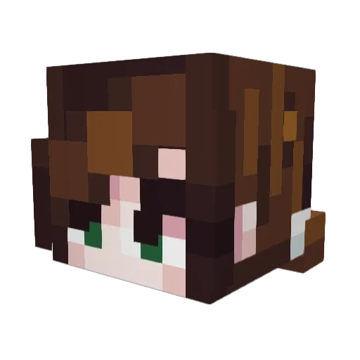 nebulagay Minecraft avatar head, 3D render