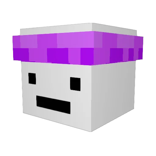nebunotavailable Minecraft avatar head, 3D render