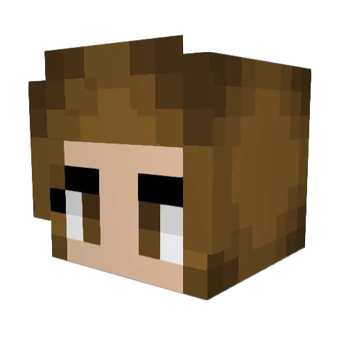 nech1 Minecraft avatar head, 3D render
