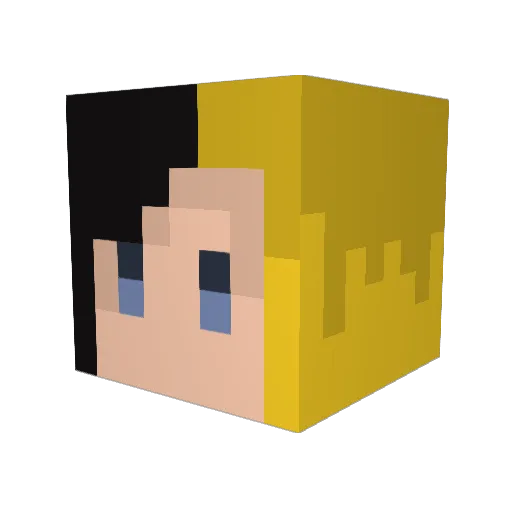necomune Minecraft avatar head, 3D render