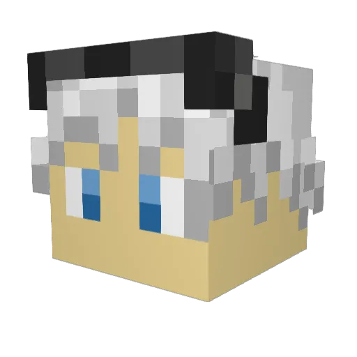 necrogimp Minecraft avatar head, 3D render