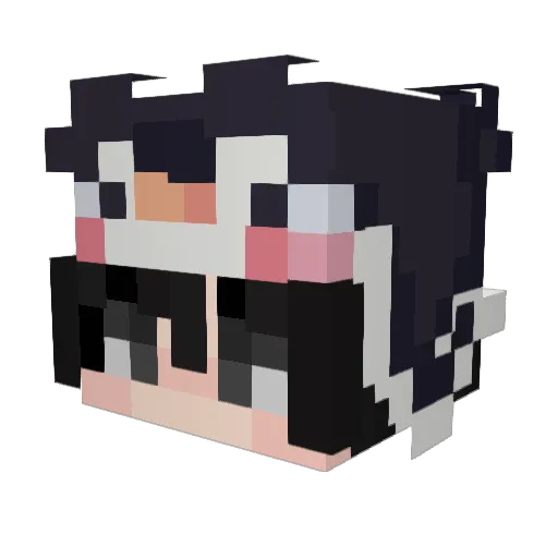 necrosanctum Minecraft avatar head, 3D render
