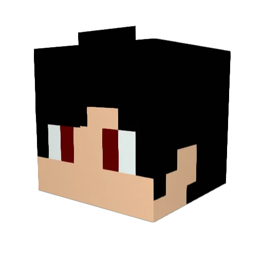 nediarjacen Minecraft avatar head, 3D render