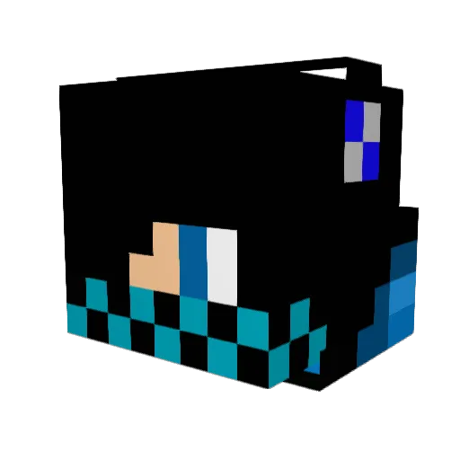 nedroj666 Minecraft avatar head, 3D render