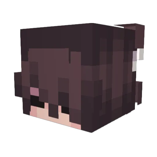 nee_cap Minecraft avatar head, 3D render