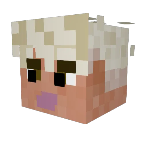 neebloom Minecraft avatar head, 3D render