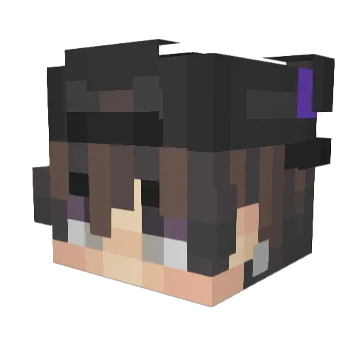 need2know Minecraft avatar head, 3D render
