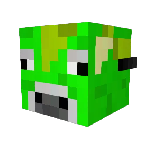 needeterror2004 Minecraft avatar head, 3D render