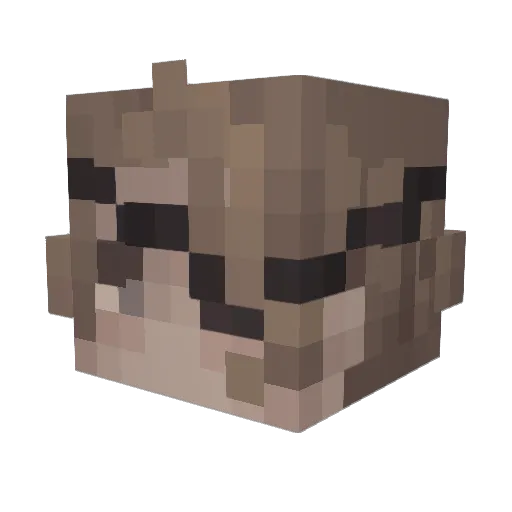 needle3 Minecraft avatar head, 3D render