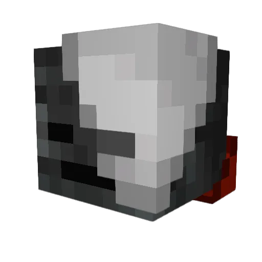 needusernam4 Minecraft avatar head, 3D render