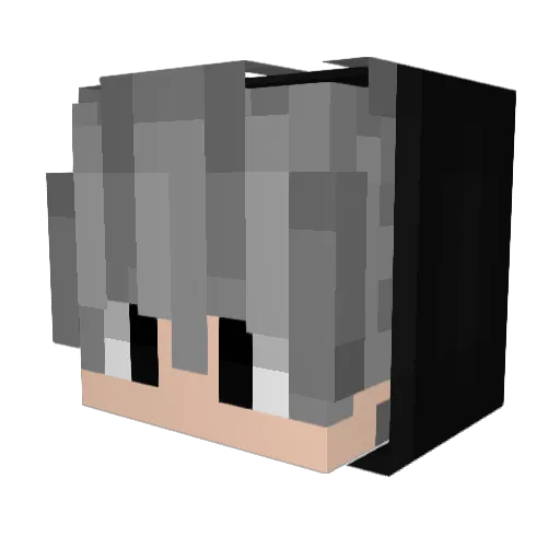 needzaname Minecraft avatar head, 3D render