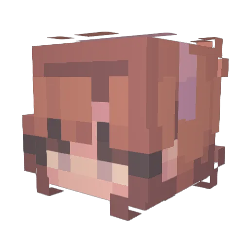 neeezza Minecraft avatar head, 3D render