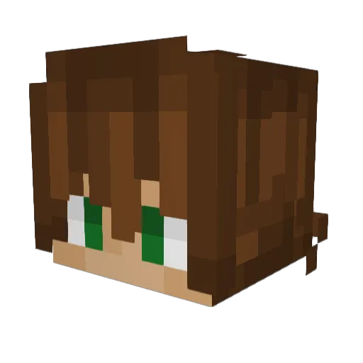 neefmanbrogast Minecraft avatar head, 3D render