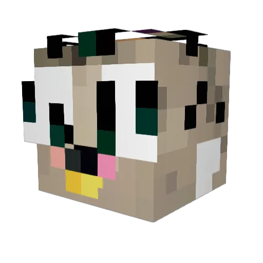 neeiswee Minecraft avatar head, 3D render