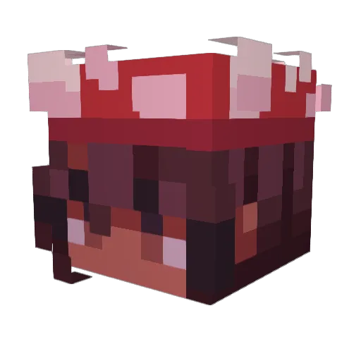 neejole Minecraft avatar head, 3D render