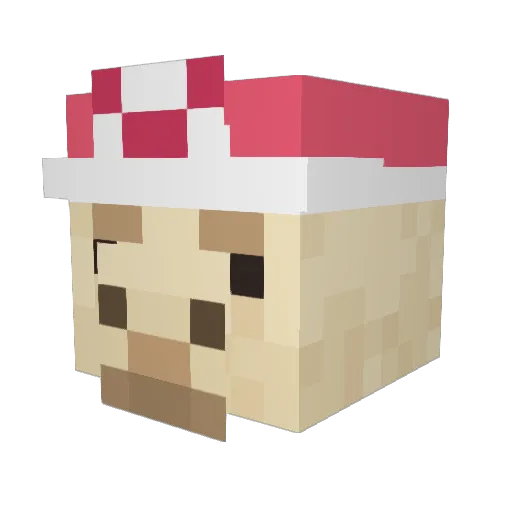 neekolace Minecraft avatar head, 3D render