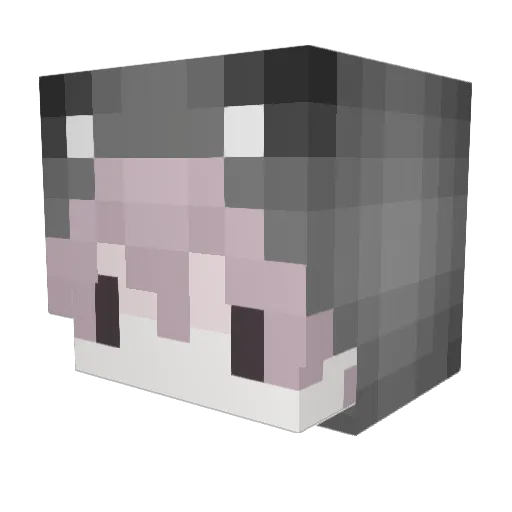 neeloxd Minecraft avatar head, 3D render