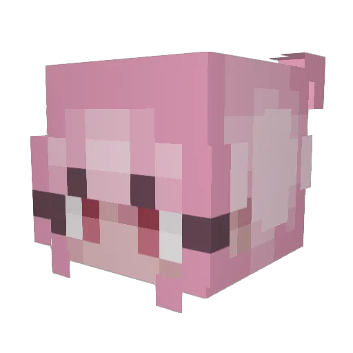 neeqr Minecraft avatar head, 3D render