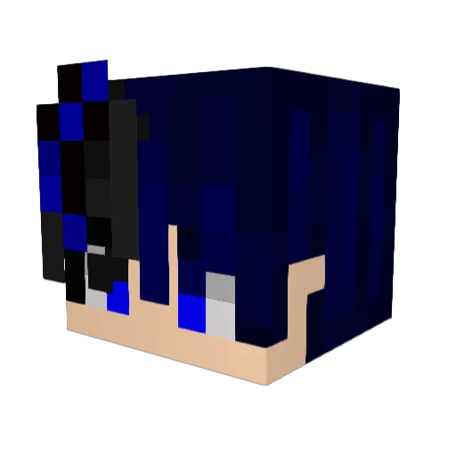 neerin2323 Minecraft avatar head, 3D render