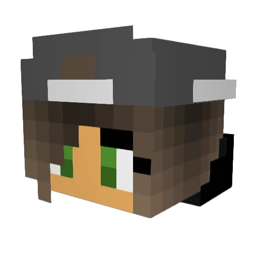 neervzweerg Minecraft avatar head, 3D render