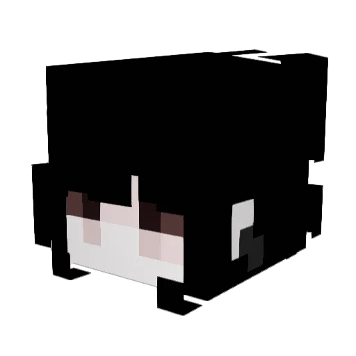 neetweet Minecraft avatar head, 3D render