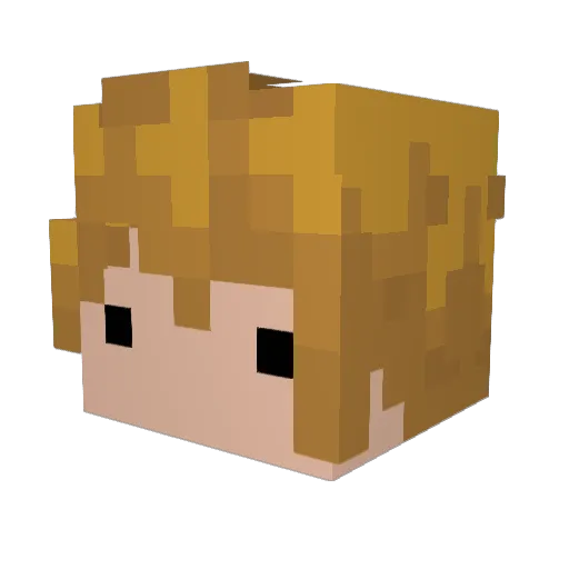 neezes Minecraft avatar head, 3D render
