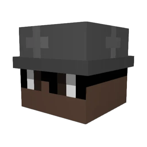 negaopvp Minecraft avatar head, 3D render