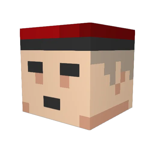 negativerjunge Minecraft avatar head, 3D render