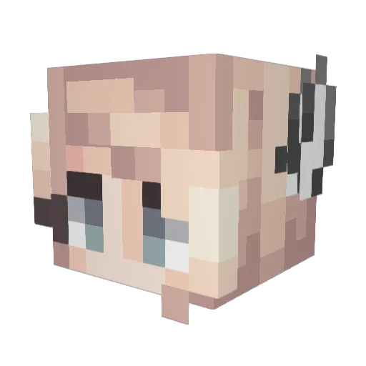 negis25 Minecraft avatar head, 3D render