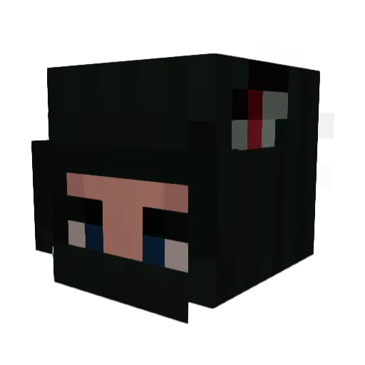 negoninja Minecraft avatar head, 3D render