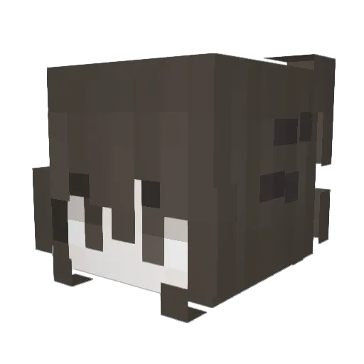 neguitoo Minecraft avatar head, 3D render