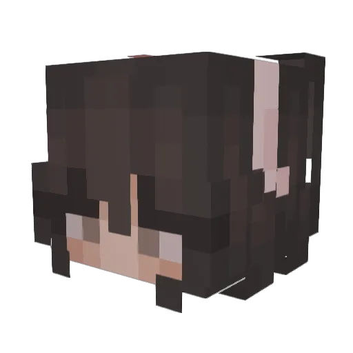 nehasia Minecraft avatar head, 3D render
