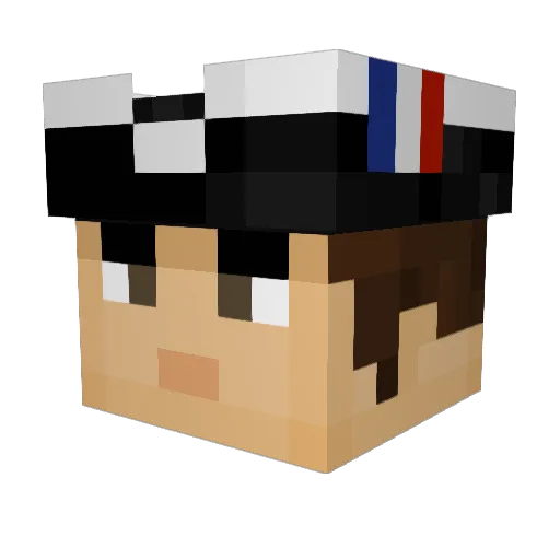 nein45 Minecraft avatar head, 3D render