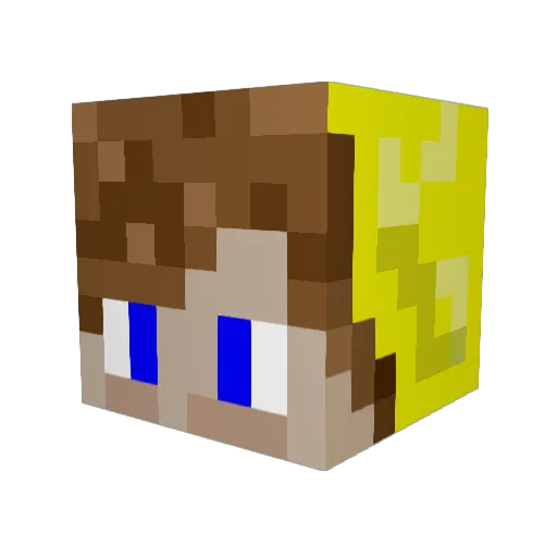 nek__sio Minecraft avatar head, 3D render