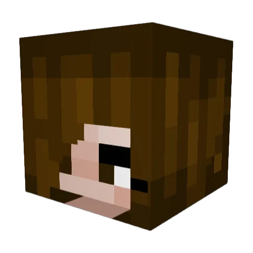 nekako_ Minecraft avatar head, 3D render