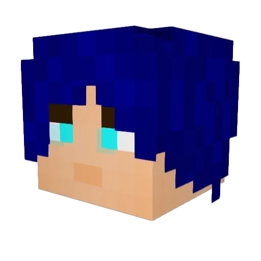 nekbruh Minecraft avatar head, 3D render