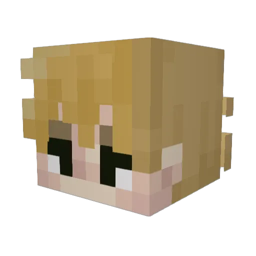 nekodacat Minecraft avatar head, 3D render