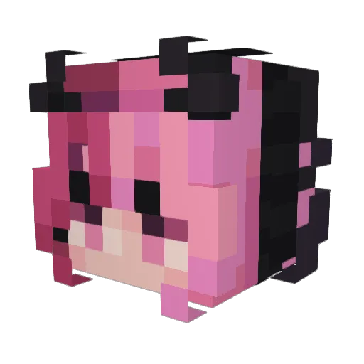 nekoreich Minecraft avatar head, 3D render