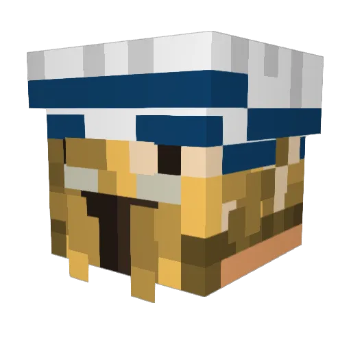 nekysama Minecraft avatar head, 3D render