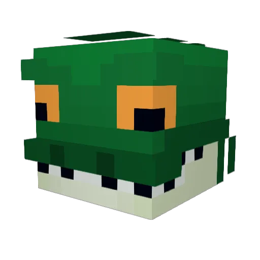 nel195hg Minecraft avatar head, 3D render