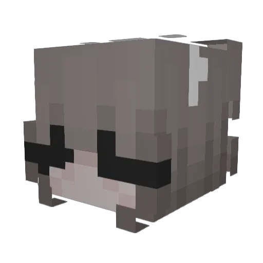 nelcheenn Minecraft avatar head, 3D render