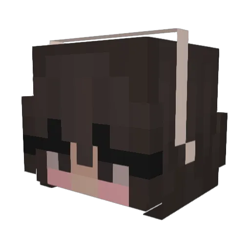 nele_smt Minecraft avatar head, 3D render