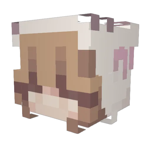 neleh Minecraft avatar head, 3D render