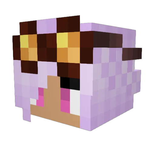 neleone27 Minecraft avatar head, 3D render