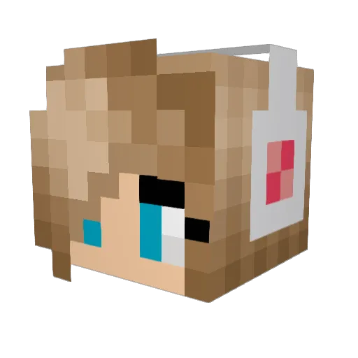 nell2007 Minecraft avatar head, 3D render