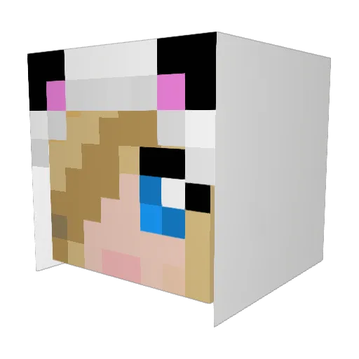 nellie777 Minecraft avatar head, 3D render